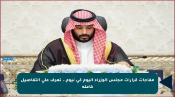 مفاجآت قرارات مجلس الوزراء اليوم في نيوم.. تعرف على التفاصيل كاملة